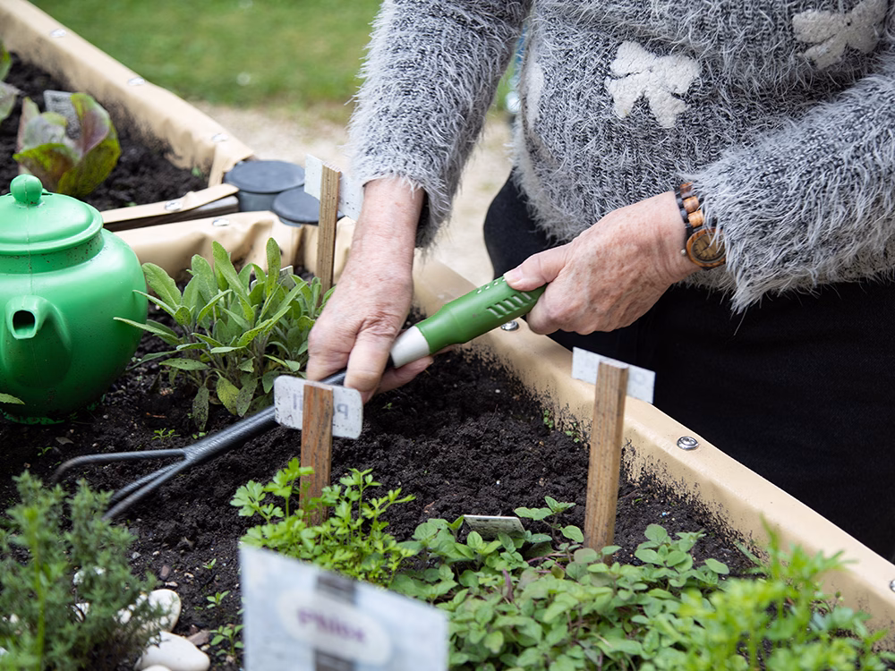 Jardin potager et aromatique